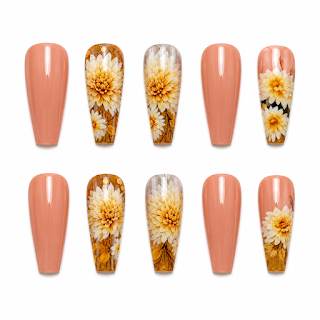 Nail art brush set for beginners